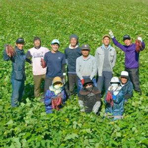 ふるさと納税 掛川市 生まれも育ちも掛川産 こ...の詳細画像3