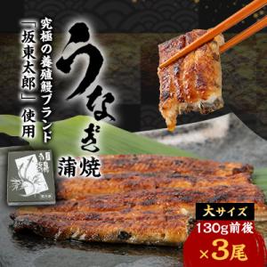 ふるさと納税 館山市 天然 に近づけた究極の養殖...の商品画像