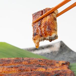 ふるさと納税 館山市 天然 に近づけた究極の養...の詳細画像2