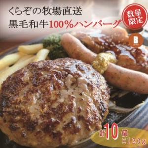 ふるさと納税 小林市 【宮崎県産黒毛和牛100%】黒毛和牛専門店の贅沢ハンバーグ(計10個)　DAS001