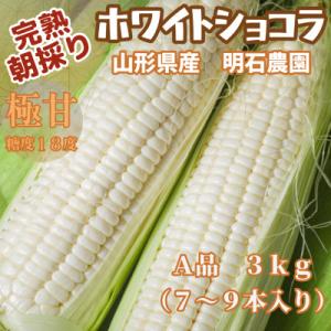 完熟ホワイトショコラ 明石農園  3kg とうもろこし 山形県産　2026年7月発送開始