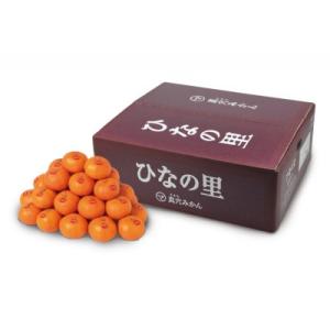 真穴みかん 【ひなの里】 5kg【F43-1】