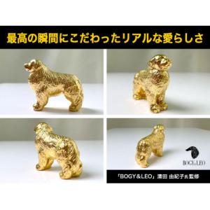ふるさと納税 南アルプス市 純金(K24)製 ...の詳細画像1