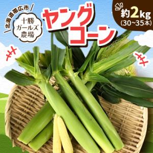 先行受付【十勝ガールズ農場】直送 ヤングコーン箱詰め 約2kg(30～35本)