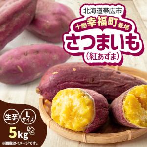 【先行受付】直送!十勝「幸福」さつまいも(紅あずま)Lサイズ5kg