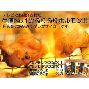 ふるさと納税 志摩市 自家製みそダレ Mセット 牛ホルモン200g 300g×各1 豚肉×3 鶏肉×...