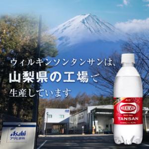 ふるさと納税 山梨市 炭酸水 ウィルキンソン ...の詳細画像2