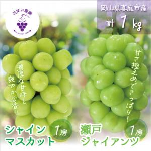 岡山　花笑み農園の『シャインマスカット&瀬戸ジャイアンツ』1kg(2房)　GS