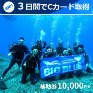 ふるさと納税 高石市 BIG BLUE　スキューバダイビング　PADI(Cカードライセンス) 免許取...