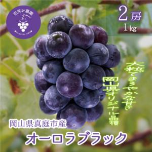 岡山　花笑み農園のブドウ『オーロラブラック』1kg(2房)　A-1