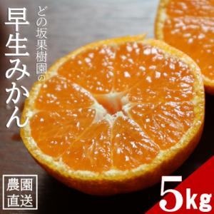 甘い!どの坂果樹園の早生みかん　約5kg【サイズおまかせ・畑のまんま規格】