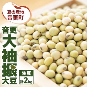 豆の産地 十勝おとふけ町 音更大袖振大豆2kg 令和7年産【B15】