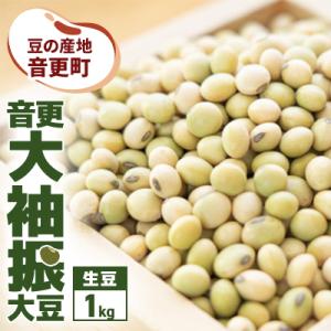豆の産地 十勝おとふけ町 音更大袖振大豆1kg 令和7年産【B39】