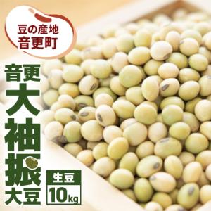 豆の産地 十勝おとふけ町 音更大袖振大豆10kg 令和7年産【C43】