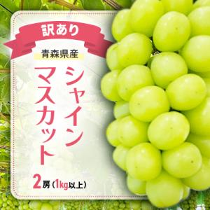 ふるさと納税 青森市 【訳あり】青森県産シャインマスカット 2房(1kg以上)