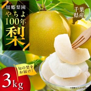 ふるさと納税 八千代市 2026年発送先行受付 周郷梨園のやちよ100年梨(3kg)