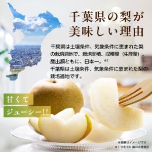 ふるさと納税 八千代市 2026年発送先行受付...の詳細画像1