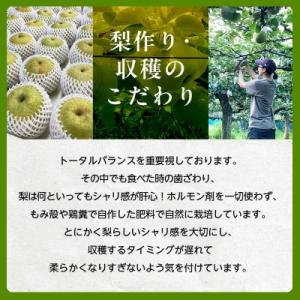 ふるさと納税 八千代市 2026年発送先行受付...の詳細画像3
