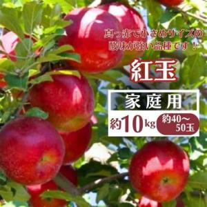 【先行受付】りんご(紅玉) 家庭用 約10kg(40～50玉)
