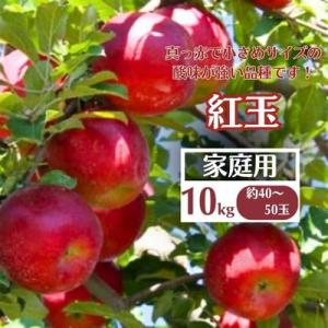 ふるさと納税 中野市 【先行受付】りんご(紅玉) 家庭用 10kg(40〜50玉)