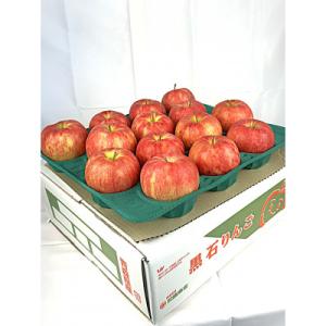 2026年11月～発送開始　酸味ですっきり　訳ありサンジョナゴールド　10kg(26～40個入)