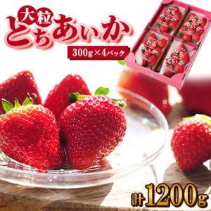 いちご生産量日本一栃木県産【春いちご】大粒『とちあいか』(300g×4パック)