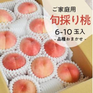 旬採り桃(品種おまかせ) ご家庭用 6-10玉 ご家族で楽しめる玉数をお届けします (岡山県産)