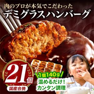 デミグラスハンバーグ 21個(宮崎市)