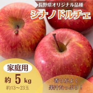 ふるさと納税 中野市 りんご シナノドルチェ 約5kg 家庭用(13玉〜23玉)