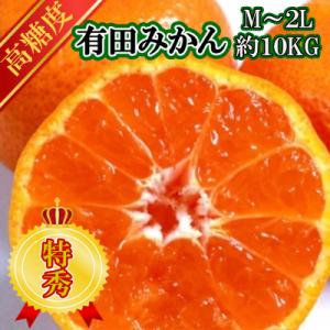 ふるさと納税 由良町 有田みかん【特秀品M〜2L 高糖度】約10kg!　2025年10月以降順次発送