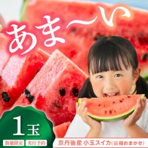 みんな大好き!甘～ぃ!シャリ美味!!京丹後産小玉スイカ!!1玉(2026年7月上旬～順次発送)