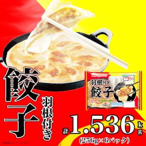 ふるさと納税 木曽岬町 【ふるさと納税】羽根付き餃子6パック 計1.536kg(餃子計72個)|日本ハム水なし&フタなし｜y-sf