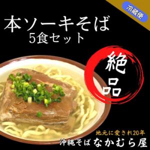 ふるさと納税 浦添市 本ソーキそば(細麺・大盛り5食セット)