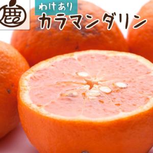 ふるさと納税 太地町 &lt;4月より発送&gt;家庭用 カラマンダリン4kg+120g(傷み補償分)【南津海・...