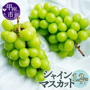 厳選契約農家のシャインマスカット1.2kg以上　2～3房