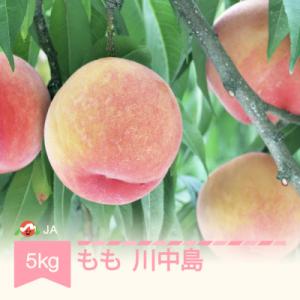 【先行受付】もも 川中島 約5kg 令和8年産【8月中旬～9月上旬頃発送予定】