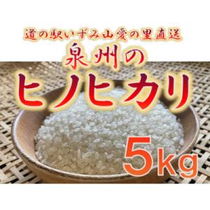 ふるさと納税 和泉市 大阪府和泉市の農家さんが心を込めて作ったヒノヒカリ　一袋5kg。道の駅で大好評...