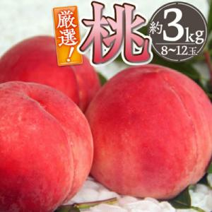 ふるさと納税 甲州市 厳選!山梨県甲州市産 桃 約3Kg