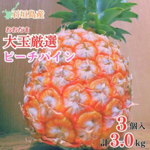 ふるさと納税 石垣市 石垣島産「大玉」ピーチパイン3個3.0kg｜y-sf