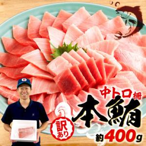 鮪専門商社が厳選!訳あり　本まぐろ　中トロ　400g