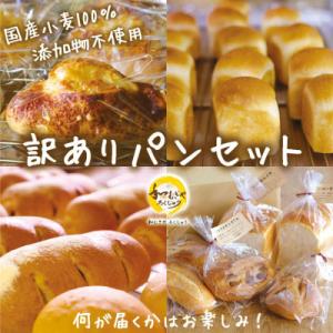 国産小麦粉100%使用!食品添加物不使用! 天然酵母・自社培養酵母の【訳ありパン】詰め合わせセット