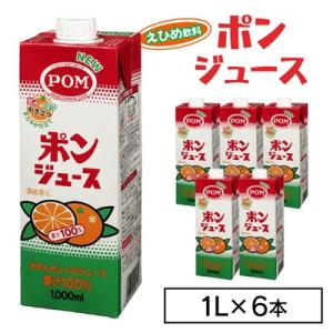 えひめ飲料　ポンジュース1L×6本