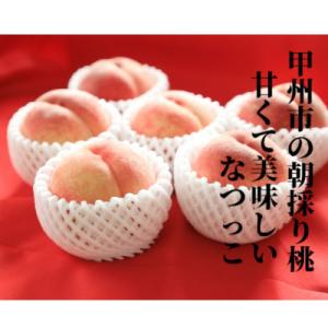 ふるさと納税 甲州市 桃「なつっこ」 2kg(6個入り)