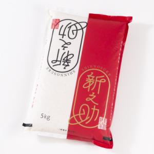 【令和7年産米】 村上市産 新之助 5kg 1027009