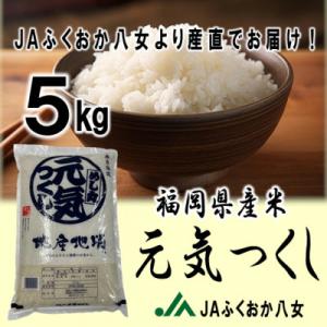 ふるさと納税 八女市 JAふくおか八女　福岡県産米　元気つくし5kg【白米】