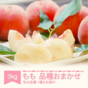 桃 品種おまかせ 約3kg 2026年産 山形県産