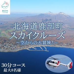 ふるさと納税 鹿部町 北海道鹿部町スカイクルーズ チケット 30分コース 最大8名様 SH02