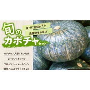 ふるさと納税 東川町 【9月下旬発送】旬の採れたて野菜「カボチャセット」【0065-004】｜y-sf