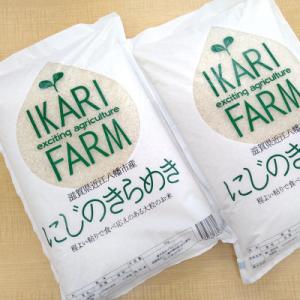 ふるさと納税 近江八幡市 【令和8年産】大粒で食べ応えあり にじのきらめき白米10kg(5kg×2)