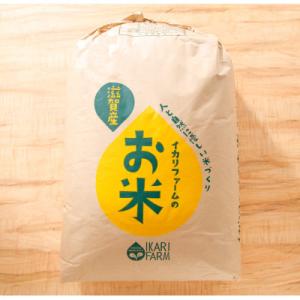 ふるさと納税 近江八幡市 【令和8年産】大粒で食べ応えあり「にじのきらめき」玄米30kg　